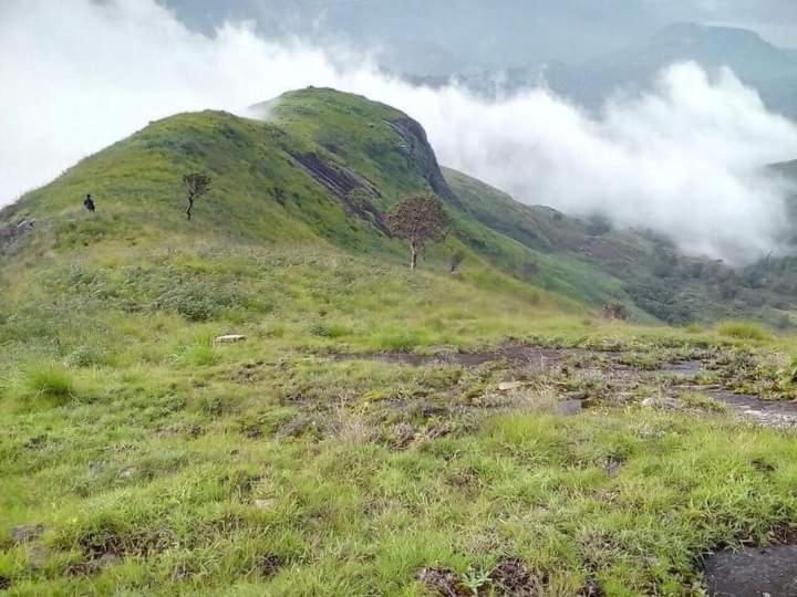 Jungle Retreat Natural Stay Kombaikadu Kodaikanal Ngoại thất bức ảnh